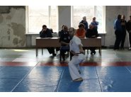  21 февраля 2016 года в городе Днепропетровске состоялся открытый чемпионат Днепропетровска и области  по Киокушин каратэ 