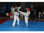  21 февраля 2016 года в городе Днепропетровске состоялся открытый чемпионат Днепропетровска и области  по Киокушин каратэ 
