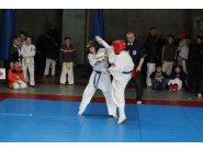  21 февраля 2016 года в городе Днепропетровске состоялся открытый чемпионат Днепропетровска и области  по Киокушин каратэ 